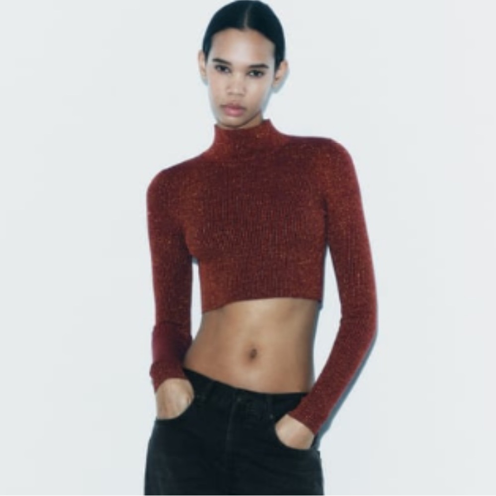 NWT ZARA MOCK TURTLENECK KNIT TOP WITH METALLIC THREAD